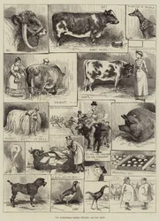 The Birmingham Cattle, Poultry and Dog Show